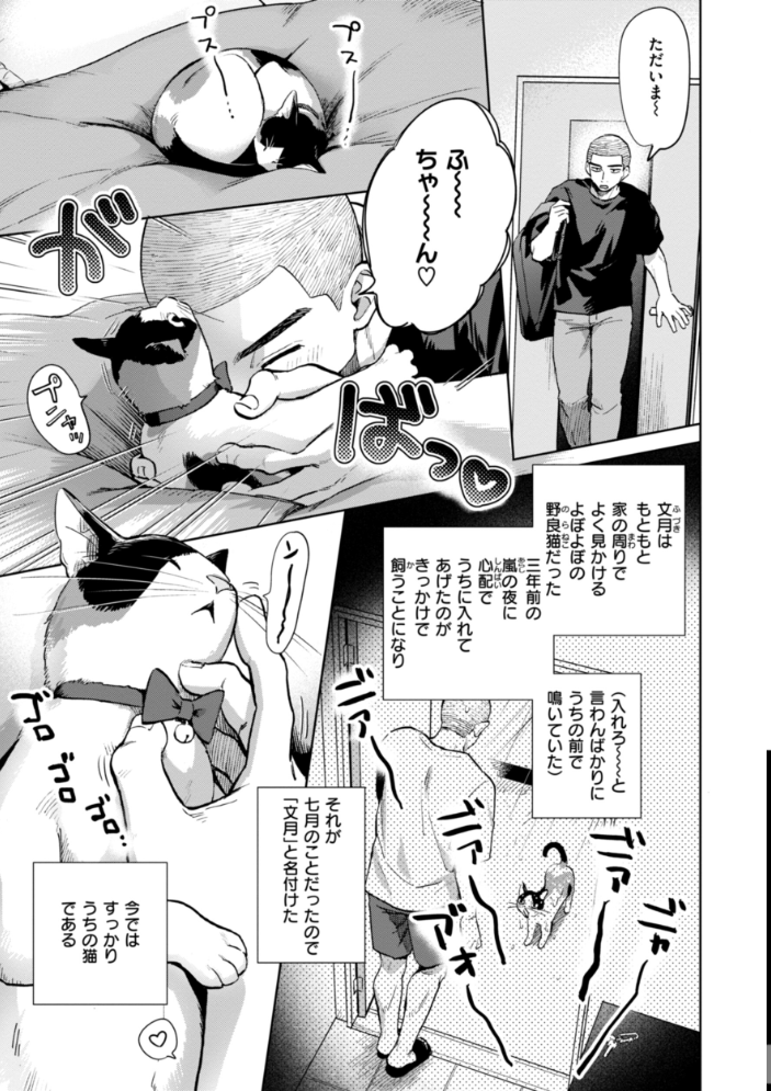 【エロ漫画】 めちゃくちゃになろうよ  どらのやま サンプル画像