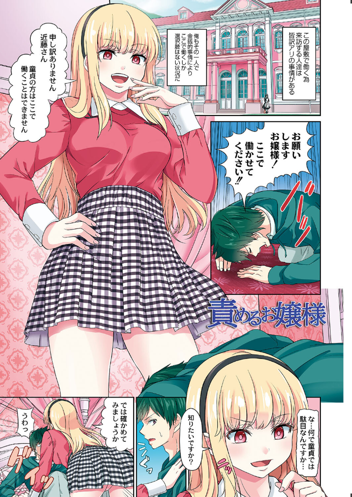 【エロ漫画】 ざ・ふぃめーる・どみねーしょん【デジタル特装版】 山畑璃杏 COMIC快艶編集部 サンプル画像