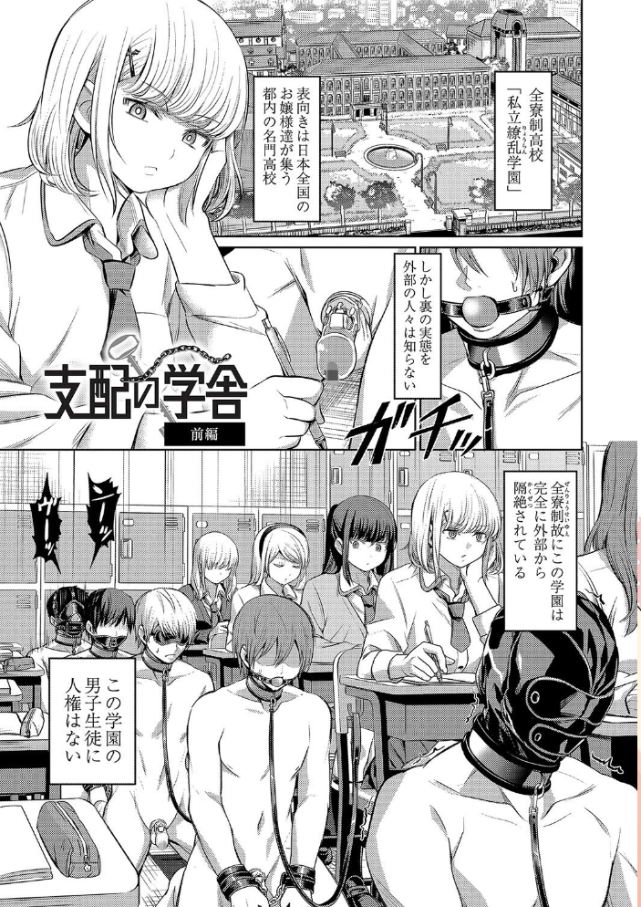 【エロ漫画】 ざ・ふぃめーる・どみねーしょん【デジタル特装版】 山畑璃杏 COMIC快艶編集部 サンプル画像