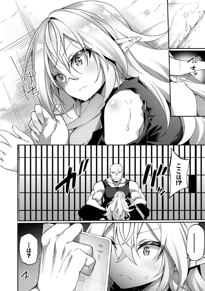 【エロ漫画】 エルフ化の秘薬〜TSメスイキH〜【デジタル特装版】【FANZA限定版】 かんむり コミックバベル編集部 サンプル画像