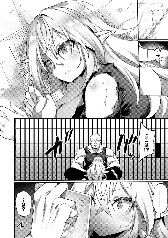 【エロ漫画】 エルフ化の秘薬〜TSメスイキH〜【通常版】【FANZA限定版】  かんむり コミックバベル編集部 サンプル画像