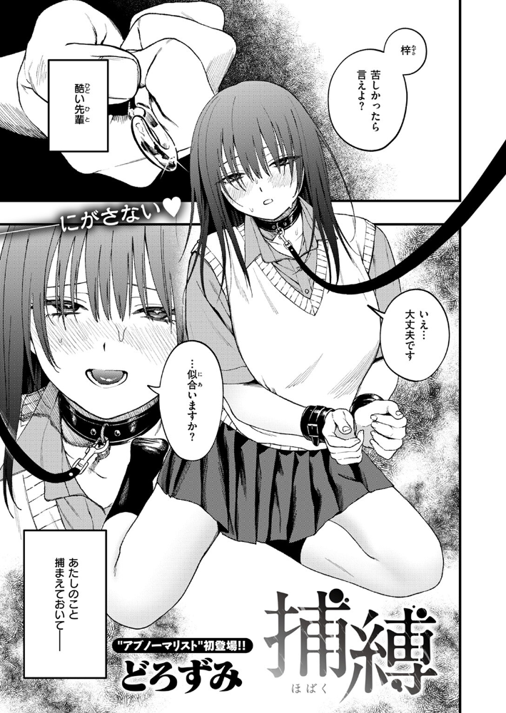 【エロ漫画】 捕縛 どろずみ サンプル画像