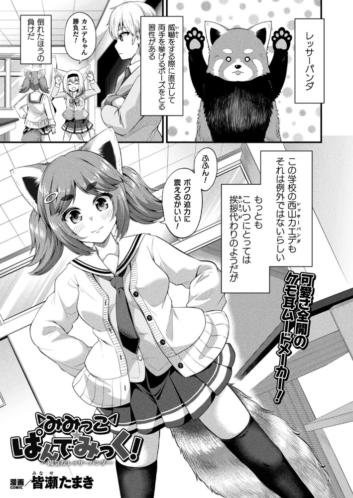 【エロ漫画】 みみっこ・ぱんでみっく!―陽気なレッサーパンダ―【単話】 皆瀬たまき サンプル画像