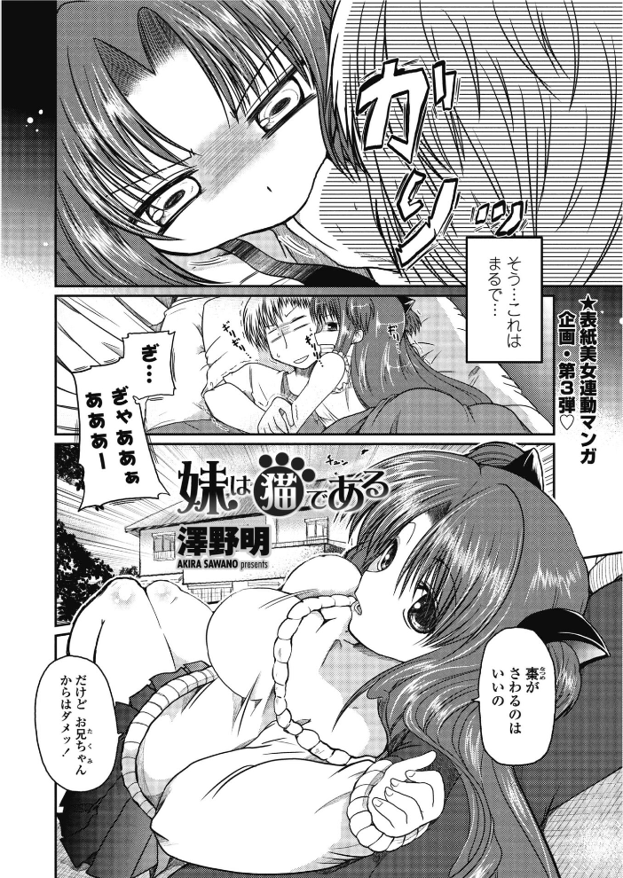 【エロ漫画】 妹は猫である  澤野明 サンプル画像