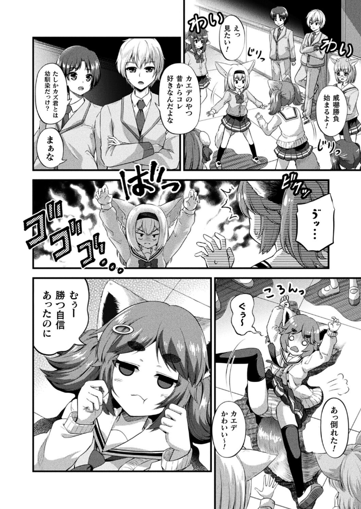 【エロ漫画】 みみっこ・ぱんでみっく!―陽気なレッサーパンダ―【単話】 皆瀬たまき サンプル画像