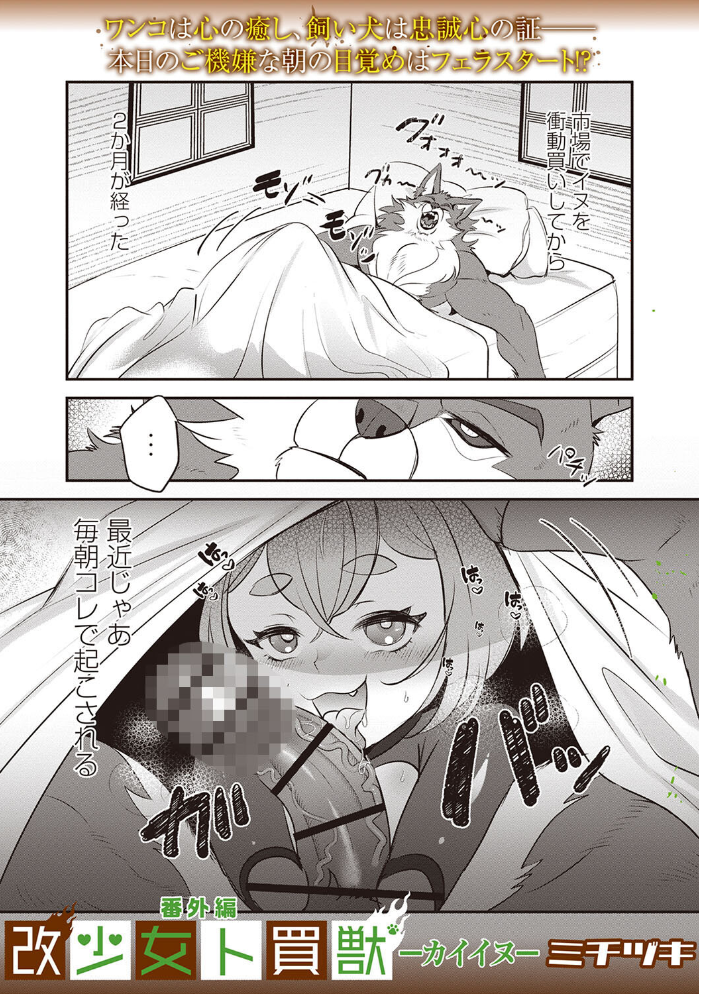 【エロ漫画】 COMICネクロシスvol.28  江黒元気 bowalia 原崎 速水くろ 森園みるく タク ドングリ calvet ミチヅキ ひめいよる サンプル画像