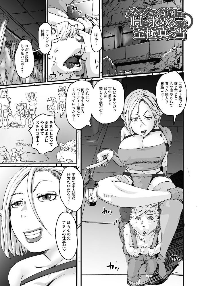 【エロ漫画】 エルフさん濃いめ  八手美以菜 一水社編集部 サンプル画像