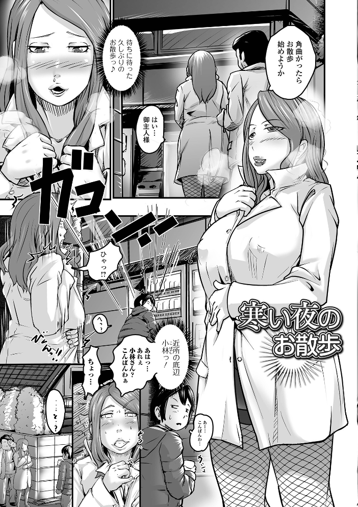 【エロ漫画】 奥様も濃いめ【デジタル特装版】  八手美以菜 一水社編集部 サンプル画像