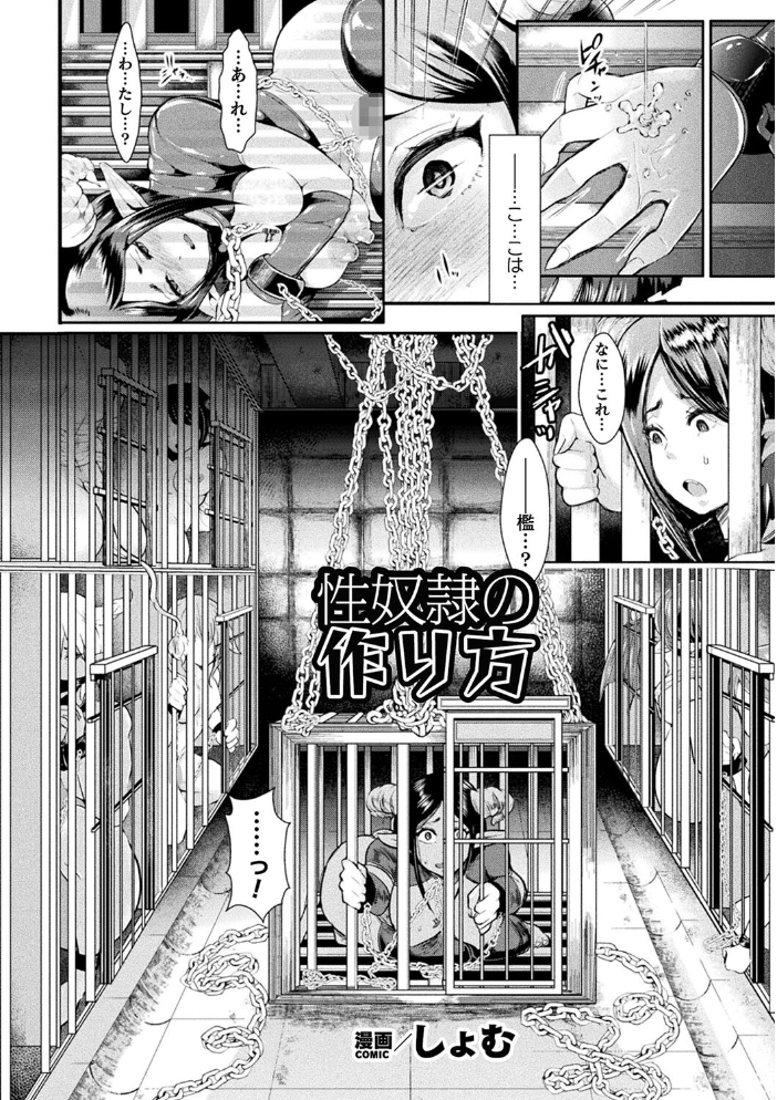 【エロ漫画】 コミックアンリアル ザ・ベスト 壁尻コレクション 太平さんせっと 種梨みや 煌野一人 しょむ ソメジマ 田中竕 ミナトヨ はねつ サンプル画像