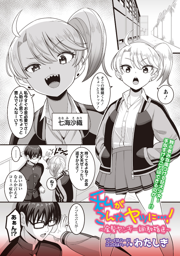 【エロ漫画】 私がこんなヤツに…!〜金髪ヤンキー調教指導〜 わたしき サンプル画像