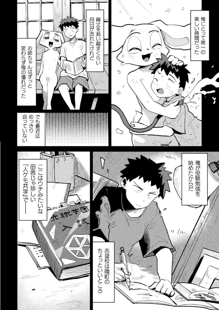 【エロ漫画】 お隣さんの兎姉ちゃん【単話】 ぱてくらー サンプル画像