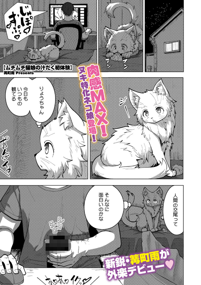 【エロ漫画】 ムチムチ猫娘の汁だく初体験 篝町雨 サンプル画像