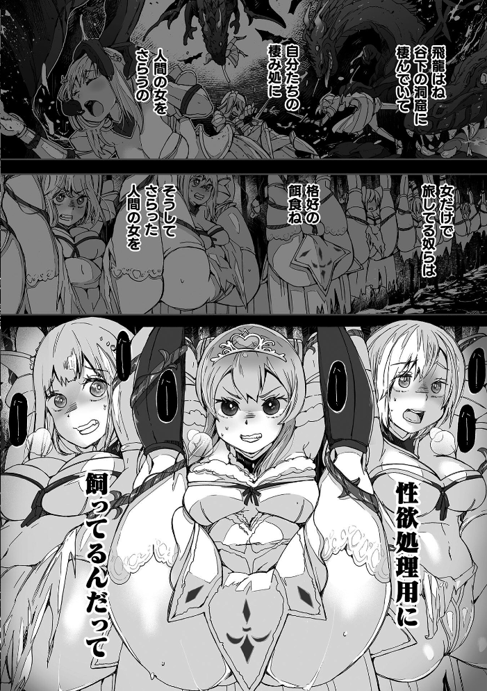 【エロ漫画】ファンタジー世界で巨乳の姫騎士と出会い中出しの夜を共にする旅の話！ サンプル画像