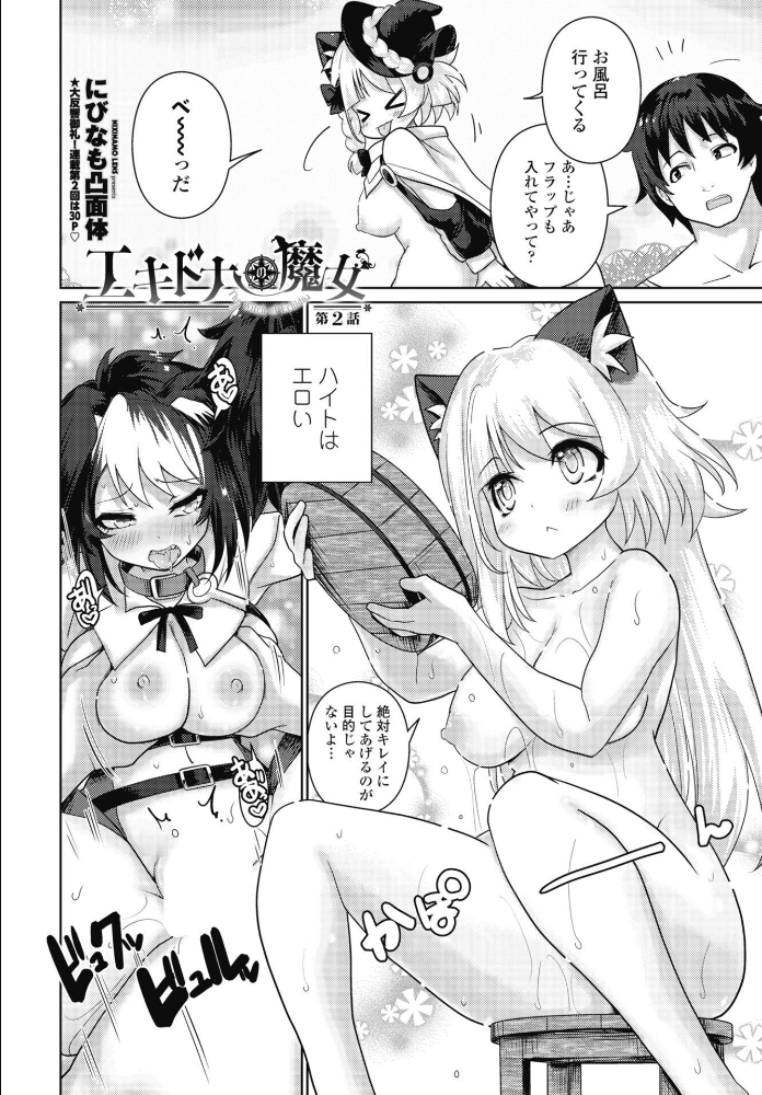 【エロ漫画】ハーレムの中で、魔法少女と触手が導く禁断の快楽—エキドナの魔女 をめぐる旅との夜を描くw サンプル画像
