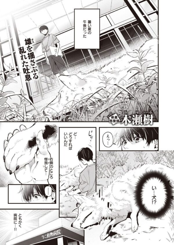 【エロ漫画】麦の恩返しの獣耳美少女とふたりきりで中出しフェラに挑む夜のほどよい濃厚な遊び! サンプル画像