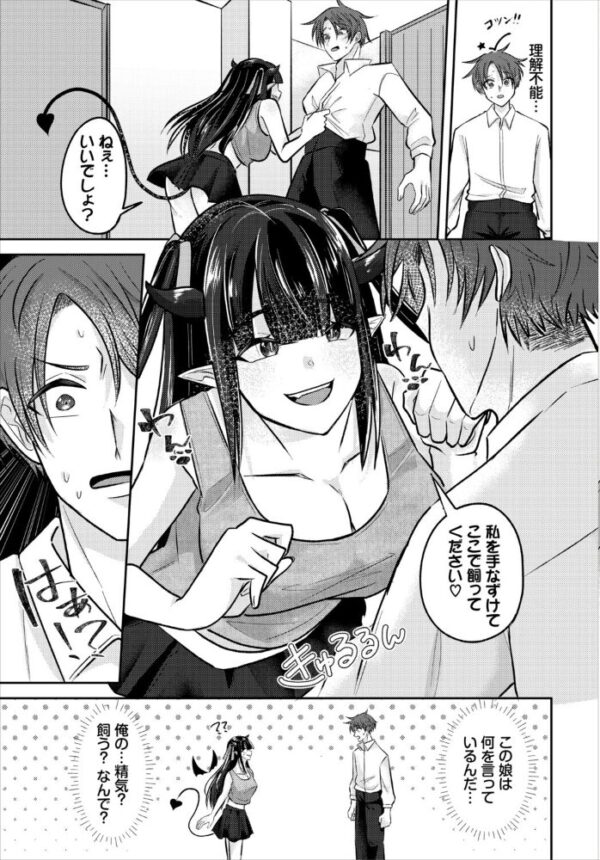 【エロ漫画】魅惑のサキュバスと浮気相手と過激フェラと中出しの快感寄り添う夜w サンプル画像
