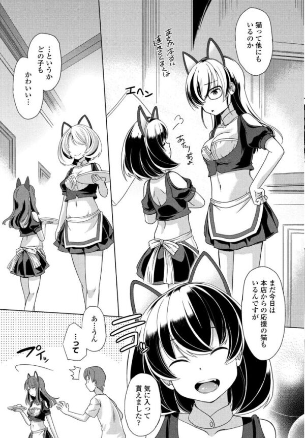 【エロ漫画】獣系ミニ娘と巨乳美少女が中出しで弄ぶCat gardenの2nd courtの夜の遊戯! サンプル画像