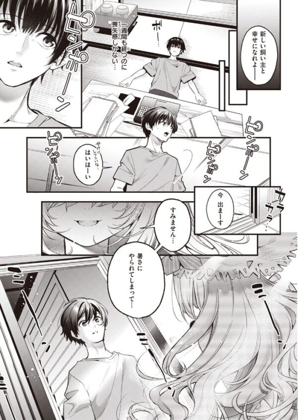 【エロ漫画】麦の恩返しの獣耳美少女とふたりきりで中出しフェラに挑む夜のほどよい濃厚な遊び! サンプル画像