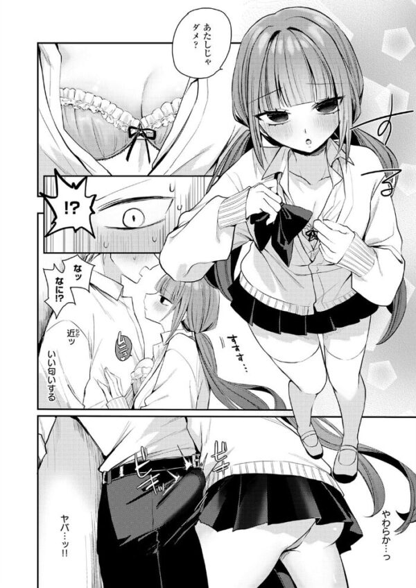 【エロ漫画】巨乳美少女たちとフェラと中出しを巡る学園の日常/美麗系女子校生2人の蕩ける夜の誘惑!! サンプル画像