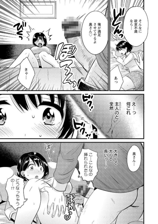 【エロ漫画】 主人には内緒 サンプル画像