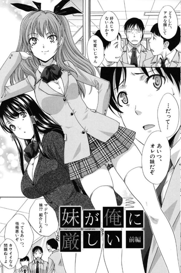 【エロ漫画】 変態兄キと妹玩具 サンプル画像