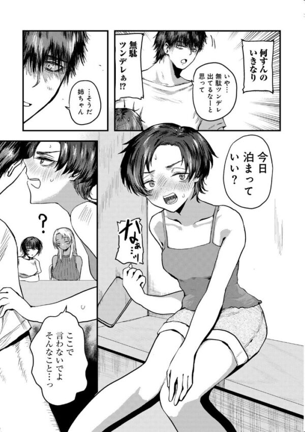 【エロ漫画】姉と妹の巨乳フェラと中出し騎乗位で押さえきれない欲望を二人が見せる夜の密室w サンプル画像