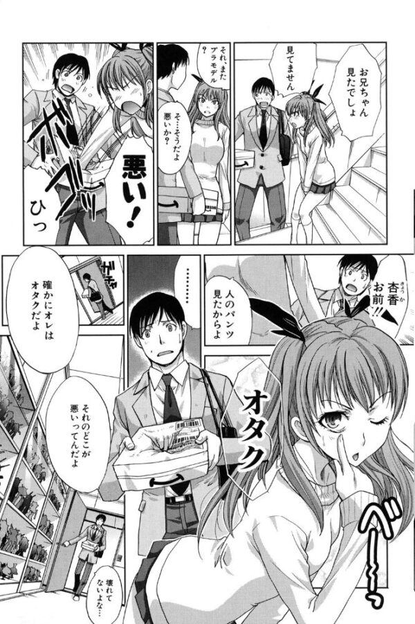 【エロ漫画】 変態兄キと妹玩具 サンプル画像