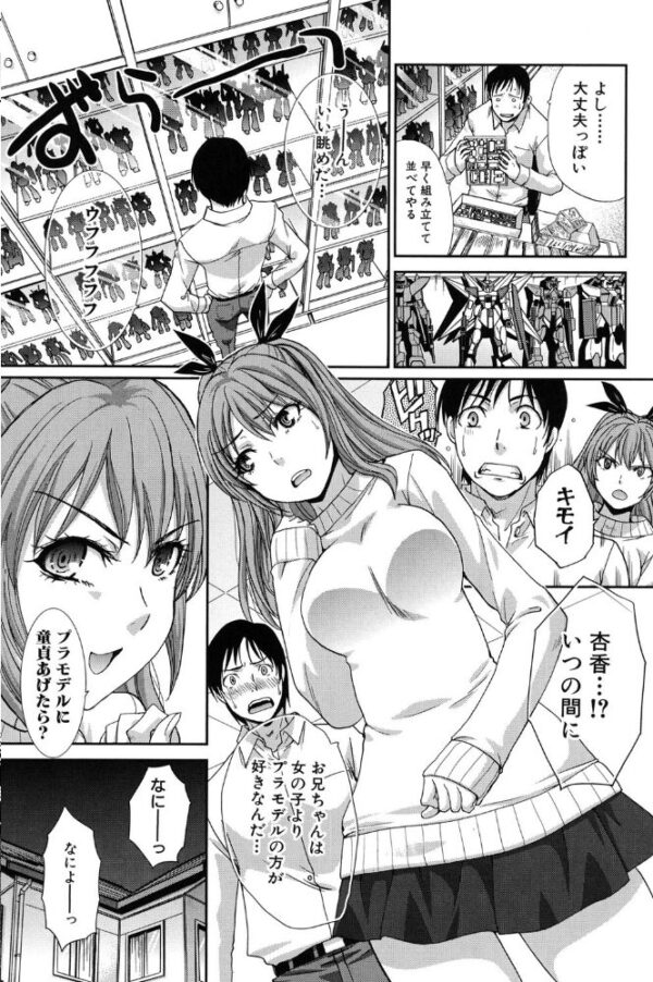 【エロ漫画】 変態兄キと妹玩具 サンプル画像